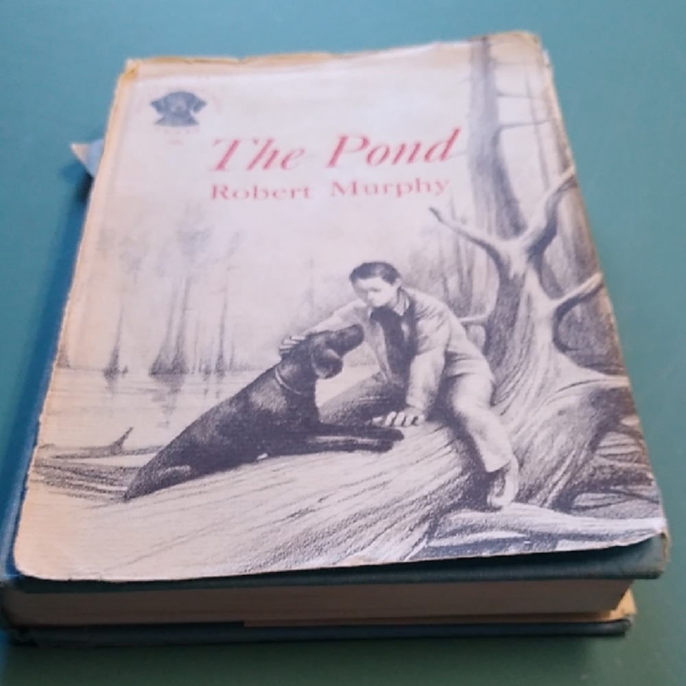 The Pond by Robert Murphy Book 1964